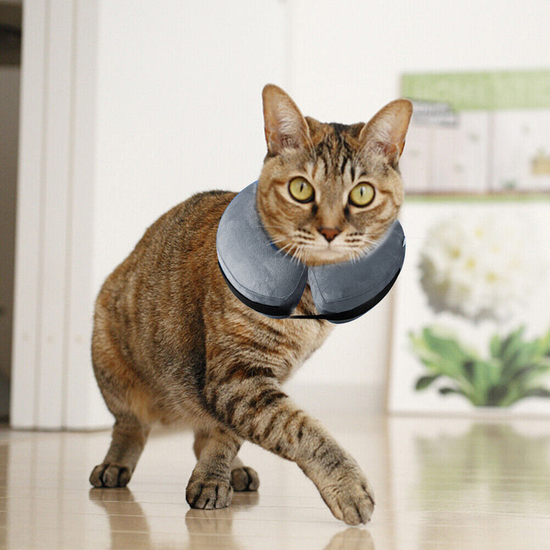 #A Inflatable Cat E-collar Healing Protective Pet Supplies Anti Lick Surgery W