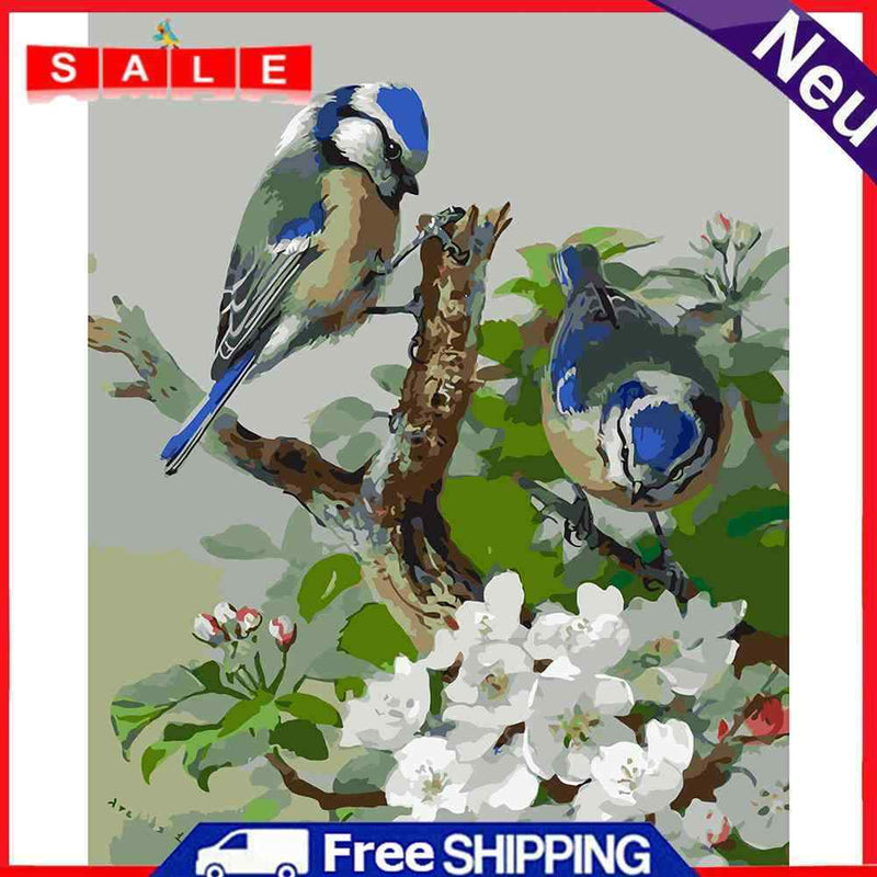 40x50cm Coloring Painting Canvas Drawing Two Blue Birds Digital Coding Picture