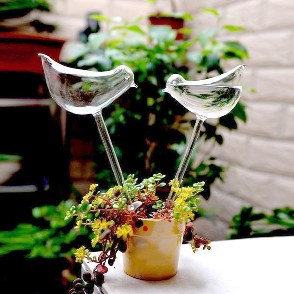 Glass Plant Flowers Water Feeder Self Watering Bird Device*1 Waterer F1Z3