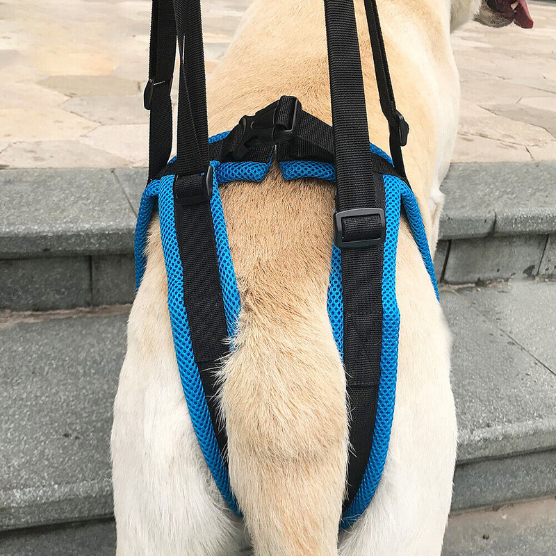 #A Adjustable Dog Leash Aid Assist Tool Lift Harness for Back Legs Pet Support