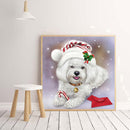 5D DIY Diamond Painting Kits Full Square Drill Christmas Havanese Mosaic Picture