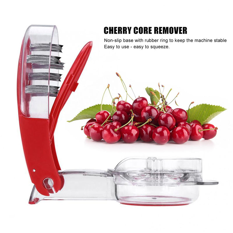 Cherry Pitter - Olive Seed Cherry Stone Pit Pitting Device with 6 Groove
