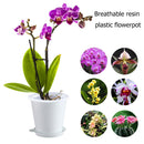 Clear Root Control Pot Orchid Fleshy Flower Breathable Container (White) Newly