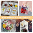 DIY Preserved Flower Scented Candle Material Suitable for Soap Making Nail Ar