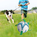 Rubber Dog Football Toys Puppy Chewing Pets Interactive Outdoor Paly Balls Newly