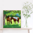 Handmade Full Square Drill 5D Horse on Prairie Drawing Kit DIY Diamond Painting