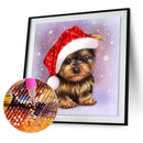 5D DIY Cat Full Round Drill Mosaic Diamond Painting Kit Wall Art Decor Drawin