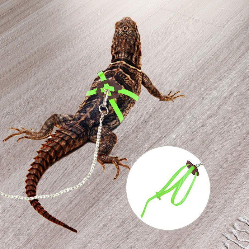 Turtle Lizard Traction RopeTraining Pets Walking Adjustable Leashes (Green