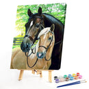 Fine Horse Oil Paint By Numbers Kit DIY Frameless Drawing Picture for Adults