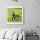 5D DIY Diamond Painting Embroidery Donkey Full Round Drill Rhinestones Crafts