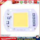 50W LEDs Floodlights COB Chip 220V Input Integrated IC Driver(White) Newly