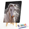 #A Fine Horse Oil Paint By Numbers Kit DIY Frameless Drawing Picture for Adults