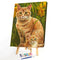 Frameless Orange Cats Oil Paint By Numbers Kit DIY Handmade Drawing On Canv