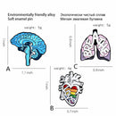 Accessories Cartoon Clothes Jewelry Brain Lung Enamel Pins Anatomy Heart Brooch