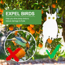 Bird Scare Owl - Hanging Bird Repellent with Bell for Garden Window (White)