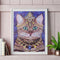 5D DIY Special Shaped Diamond Painting Noble Cat Cross Stitch Embroidery