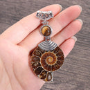 Fossil Stone Pendant Tiger Eye Stone Beads Cabochon Conch Shell Stone Pendant