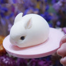 Bunny Dessert Mousse Cake Fondant Moulds Candle Mold Silicone Mould Rabbit Mold