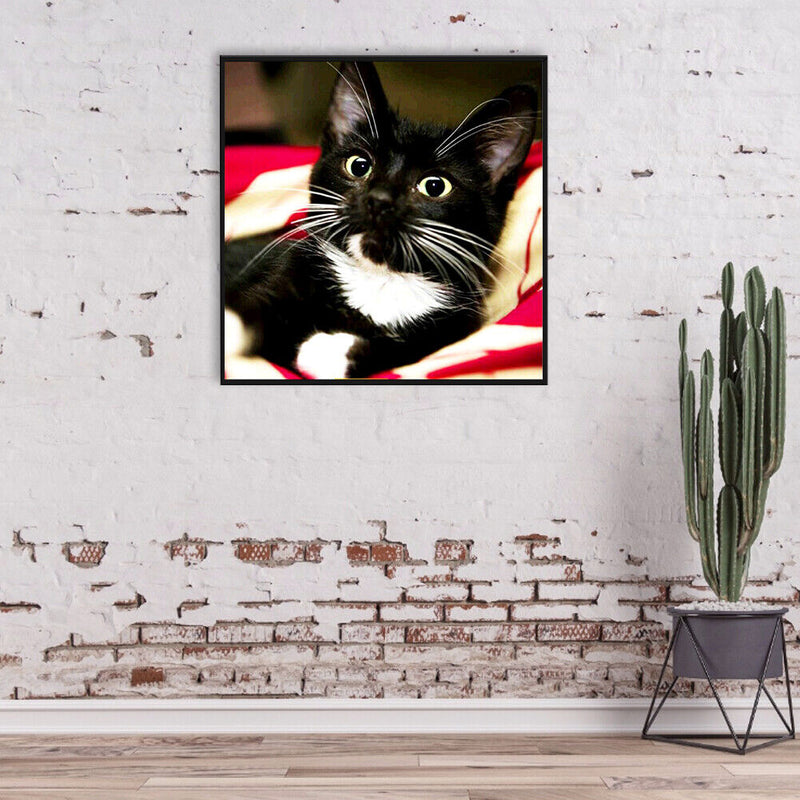 Diamond Painting Long Whisker Black Cat Full Round Wall Picture Kit 30x30cm