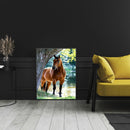 5D DIY Diamond Painting Kits Full Round Drill Horse Mosaic Picture Animal Crafts