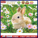 5D Diamond Painting DIY rabbit Full Round Drill Mosaic Art