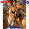 Hand Painted Craft DIY Sad Horse Painting By Numbers Digital Oil Art Picture Kit