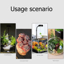 LED Aquarium Light USB Wood Base Aquatic Plants Grow Lighting Lamp for Fish