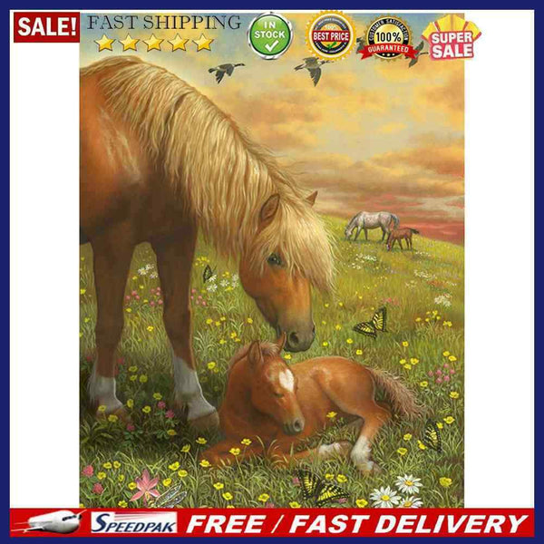 Horse on Grass Oil Paint By Numbers Kit DIY Acrylic Painting on Canvas Frameless