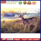 Diamond Embroidery Cartoon Elk Mosaic Round Drill Diamond Painting for Bead A