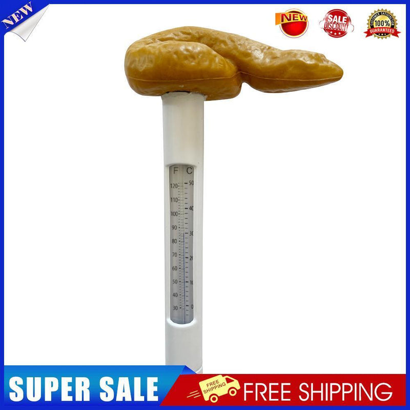Poop Swimming Pool Floating Thermometer Hot Tub Water Temperature Tester