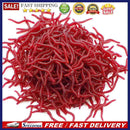 100/200pcs 3.5cm Soft Red Worm Baits Earthworm Carp Fishing Lures Tackles Too