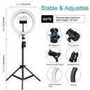 LED Ring Light Video Light Kits with 110cm Tripod Holder For Tik Tok YouTube