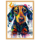 5D DIY Full Drill Diamond Painting Dog Cross Stitch Craft Kit (Color-k554) Newly
