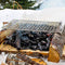 BBQ Grilling Net Fire Cooking Stainless Steel Camping Grill Grate Firewood
