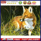 Bushes Animals Oil Paint By Numbers Kit DIY Frameless Drawing for Adults Home