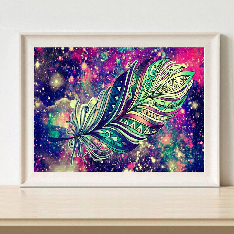 Oil Paint By Numbers Picture DIY Painting Colorful Feathers Drawing on Canvas