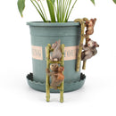 2pcs Creative Climbing Ladder Koala Flower Pot Cup Edge Hanging Ornaments Newly