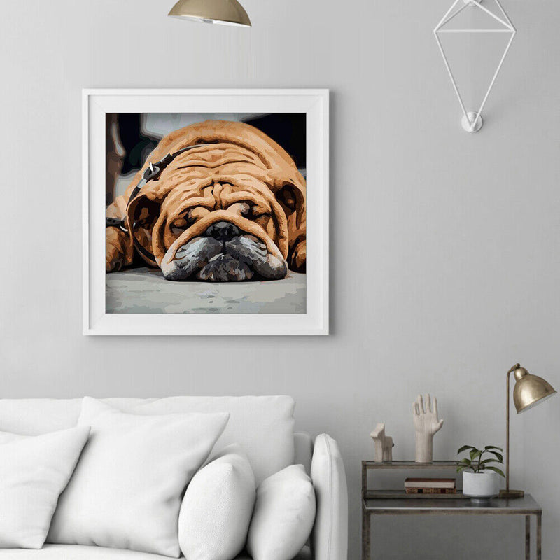 Hand Painted on Canvas DIY Sleeping Dog Oil Paint By Numbers Drawing Kit Cr