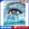 Waterfall Eye Oil Paint By Numbers Kits Canvas Picture Wall Art DIY Craft