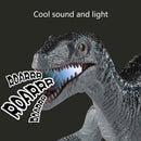 RC Simulation Dinosaur Toys with Lights Walking Roaring Dinosaur (Grey) Newly