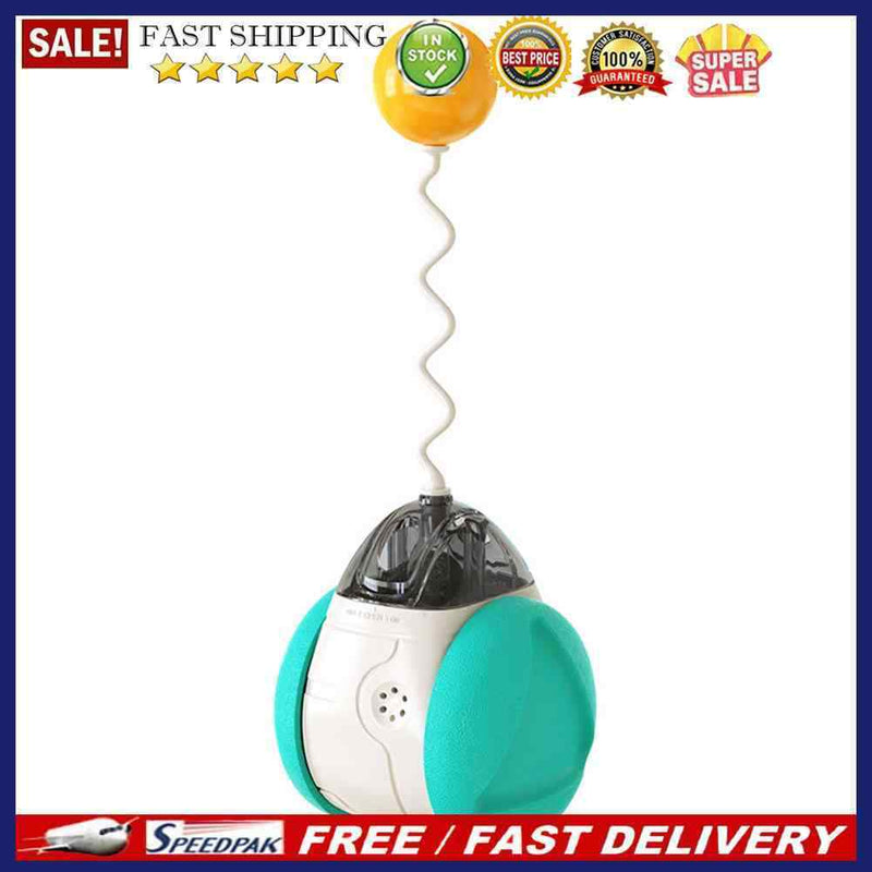 Cat Interactive Toys Swing Balance Body Colorful Sound Catnip Teaser Cat Pr