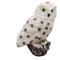 LED Solar Lights Owl Lawn Stakes Lamp Yard Art Home Garden Decor (White) Newly
