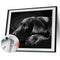 Animals on Earth Paint By Numbers DIY Set Canvas Oil Painting Drawing No Fram