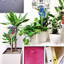 2x DIY Diamond Painting Plant Pot Plant Decor Stick Home Ornaments (HBJ17) Newly