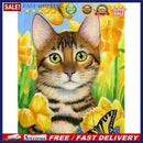 Handmade Cat 5D DIY Full Square Drill Drawing Kit Art Diamond Painting for Home