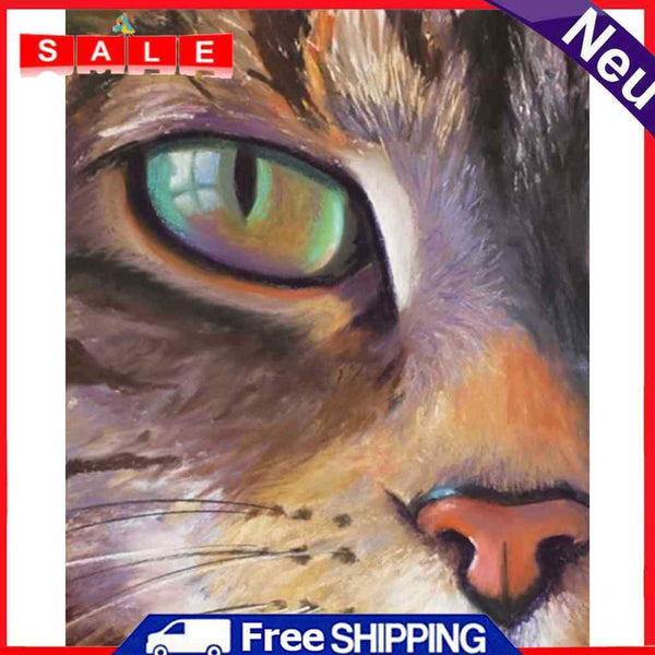 DIY Oil Paint by Numbers Cat Animal Hand Painted Acrylic Painting Home Decor