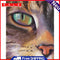 DIY Oil Paint by Numbers Cat Animal Hand Painted Acrylic Painting Home Decor