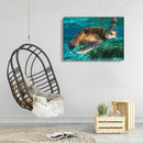 DIY Hand Painted Paint By Numbers Oil Canvas Pictures Sea Turtle Kit Room D