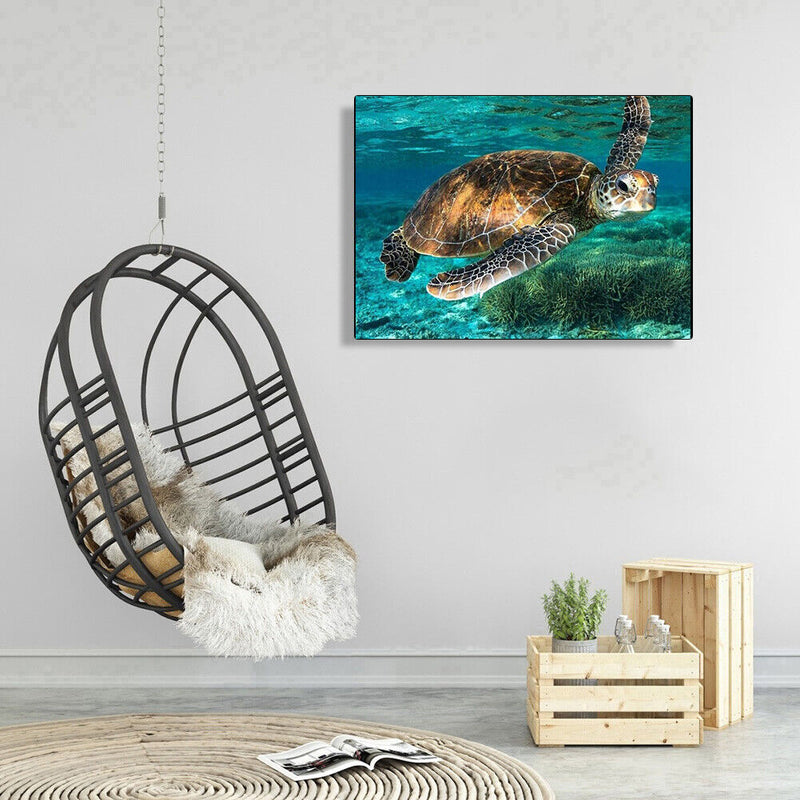 DIY Hand Painted Paint By Numbers Oil Canvas Pictures Sea Turtle Kit Room D