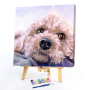 Pet Dog Frameless DIY Oil Paint by Numbers Hand Painting Wall Art Craft